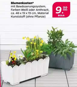 NETTO Blumenkasten Angebot