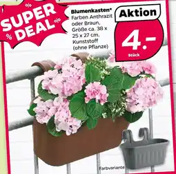 NETTO Blumenkasten Angebot