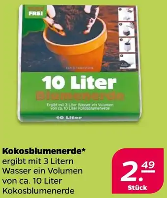 NETTO Kokosblumenerde Angebot