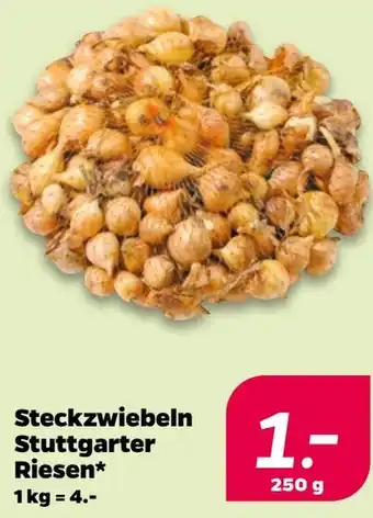 NETTO Steckzwiebeln Stuttgarter Riesen Angebot