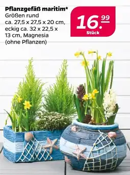 NETTO Pflanzgefäß maritim Angebot