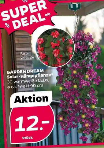 NETTO GARDEN DREAM Solar-Hängepflanze Angebot