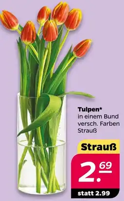 NETTO Tulpen Angebot