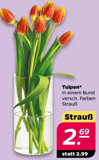 NETTO Tulpen Angebot