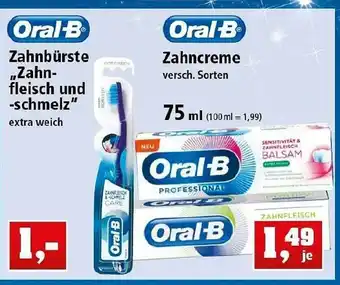 Thomas Philipps Oral-b Zahncreme Oder Zahnbürste „zahnfleisch Und -schmelz“ Angebot