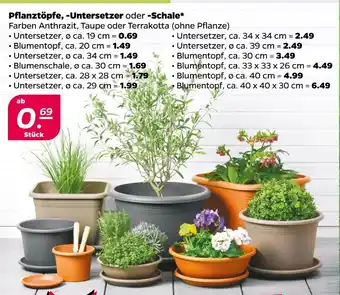 NETTO Pflanztöpfe, -untersetzer oder -schale Angebot