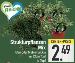 E-Center Strukturpflanzen Mix Angebot