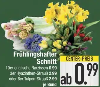 E-Center Frühlingshafter Schnitt Angebot