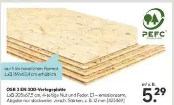 Hellweg OSB 3 EN 300-Verlegeplatte Angebot