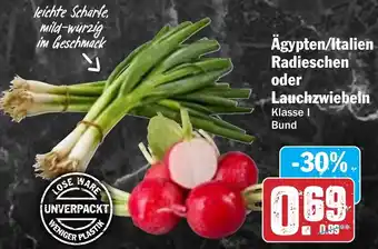 Hit Ägypten/Italien Radieschen oder Lauchzwiebeln Angebot