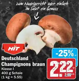 Hit Deutschland Champignons braun Angebot