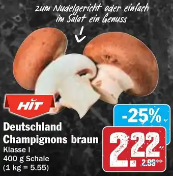 Hit Deutschland Champignons braun Angebot