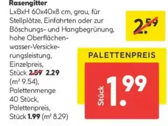 Hellweg Rasengitter Angebot