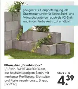 Hellweg Pflanzstein,,bambinoflor" Angebot