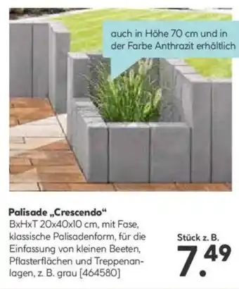 Hellweg Palisade,,Crescendo" Angebot