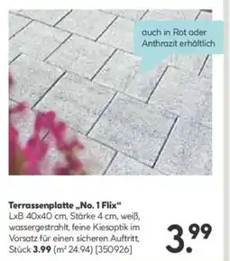 Hellweg Terrassenplatte,,No. 1 Flix" Angebot