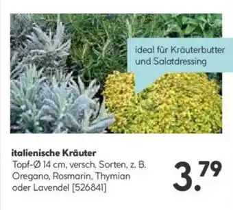 Hellweg italienische Kräuter Angebot