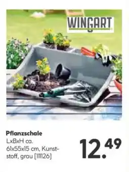 Hellweg WINGART Pflanzschale Angebot