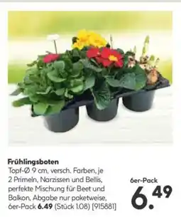 Hellweg Frühlingsboten Angebot