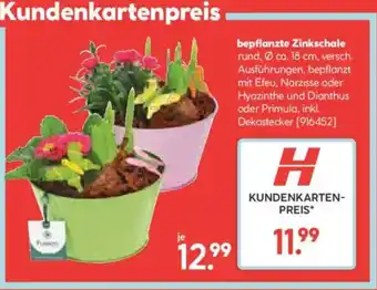 Hellweg bepflanzte Zinkschale Angebot