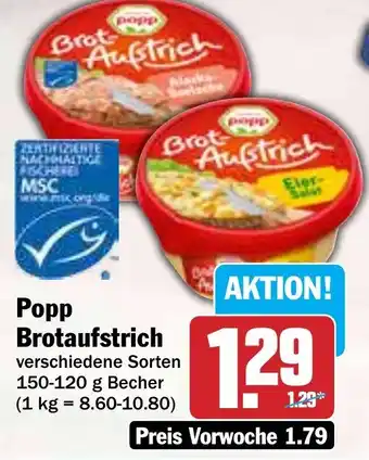 Hit Popp Brotaufstrich Angebot