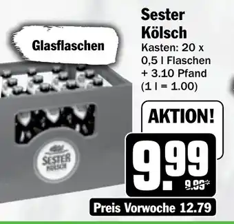 Hit Sester Kölsch Angebot