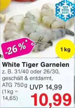 Jawoll White Tiger Garnelen Angebot