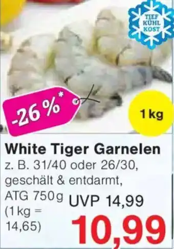 Jawoll White Tiger Garnelen Angebot