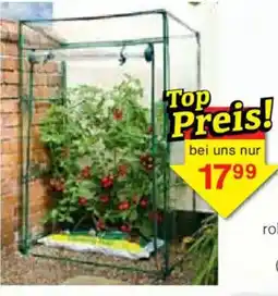 Jawoll Gewächshaus Angebot