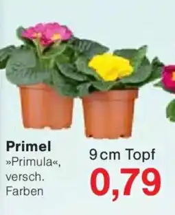 Jawoll Primel Angebot