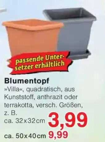 Jawoll Blumentopf Angebot