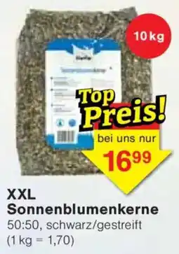 Jawoll XXL Sonnenblumenkerne Angebot