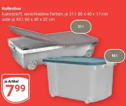 Globus Rollenbox Angebot