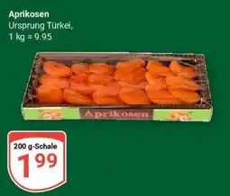 Globus Aprikosen Angebot