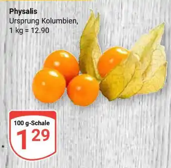 Globus Physalis Angebot