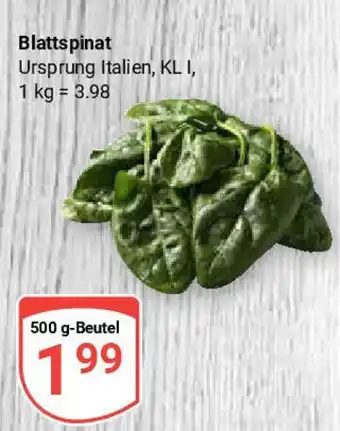 Globus Blattspinat Angebot