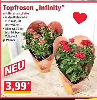 Norma Topfrosen „Infinity” Angebot