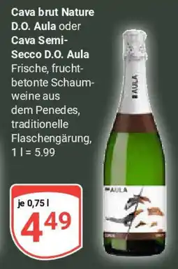 Globus Cava brut Nature D.O. Aula Angebot