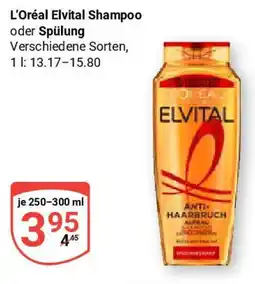 Globus L'Oréal Elvital Shampoo oder Spülung Angebot