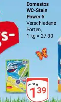 Globus Domestos WC-Stein Power 5 Angebot