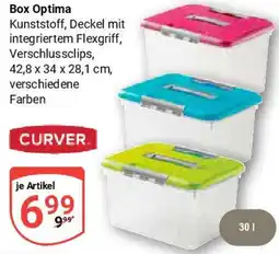 Globus Box Optima CURVER Angebot