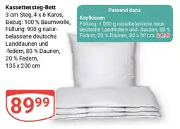 Globus Kassettensteg-Bett Angebot