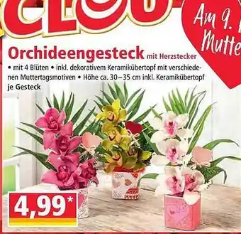 Norma Orchideengesteck Angebot