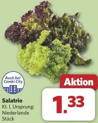 Combi Salatrio Angebot