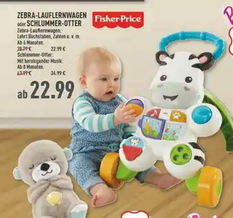 Marktkauf Zebra-lauflernwagen Oder Schlummer-otter Fisher-price Angebot