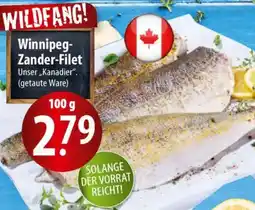 Famila Nord Ost Winnipeg Zander-Filet Angebot