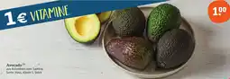 tegut Avocado Angebot