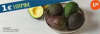 tegut Avocado Angebot