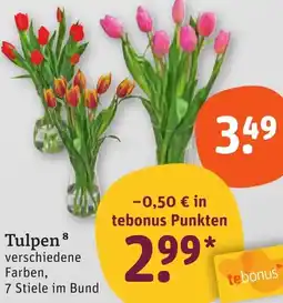 tegut Tulpen Angebot