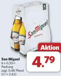 Combi San Miguel Angebot